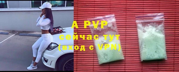 амф Бородино