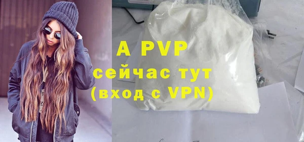 амф Бородино