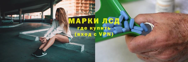 амф Бородино