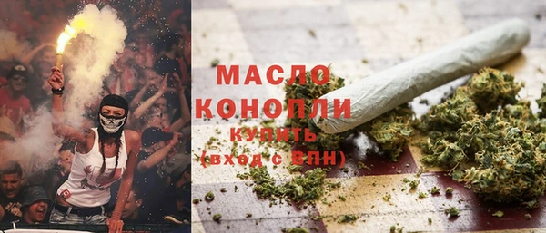 амф Бородино