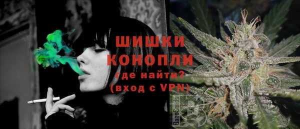 амф Бородино